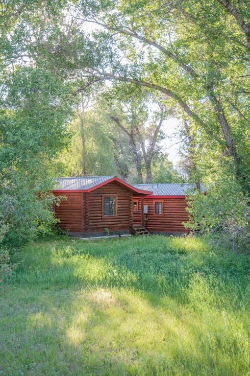 Teton Valley Cabins ดริกก์ส ห้อง รูปภาพ