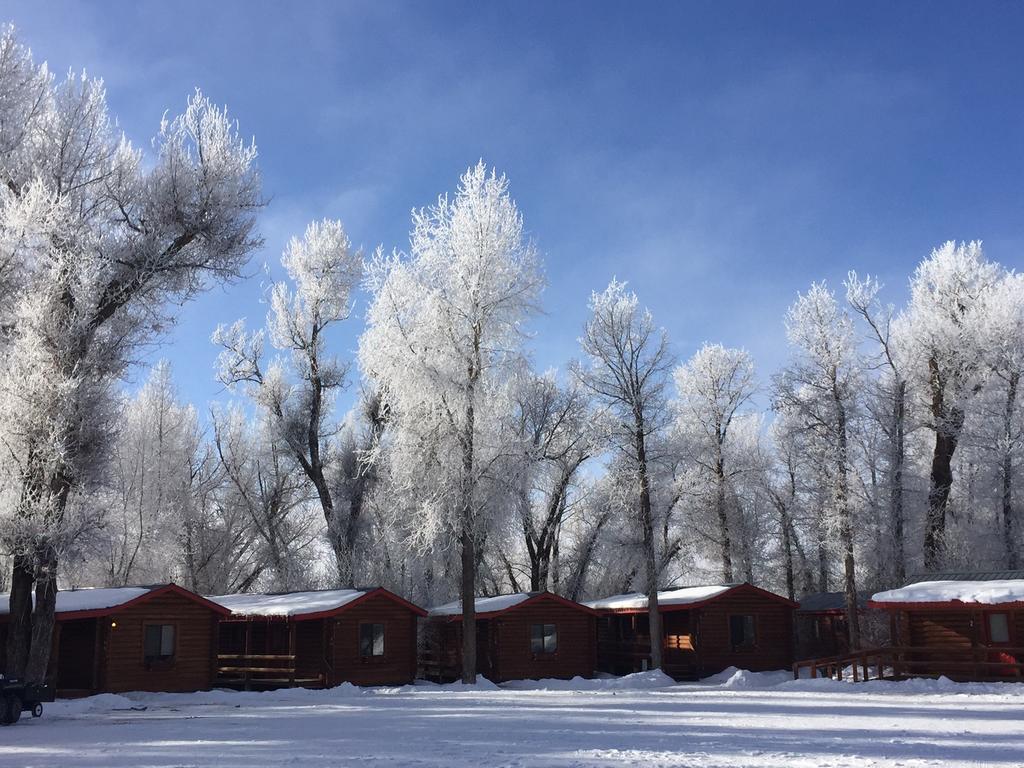 Teton Valley Cabins ดริกก์ส ภายนอก รูปภาพ