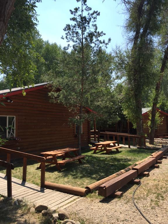 Teton Valley Cabins ดริกก์ส ภายนอก รูปภาพ
