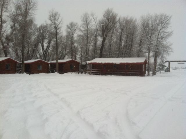 Teton Valley Cabins ดริกก์ส ภายนอก รูปภาพ