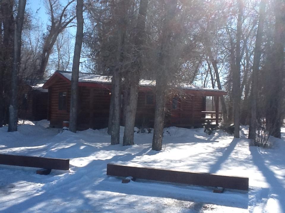 Teton Valley Cabins ดริกก์ส ภายนอก รูปภาพ