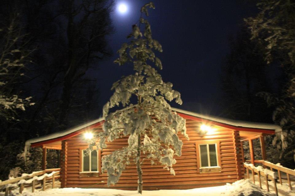 Teton Valley Cabins ดริกก์ส ภายนอก รูปภาพ